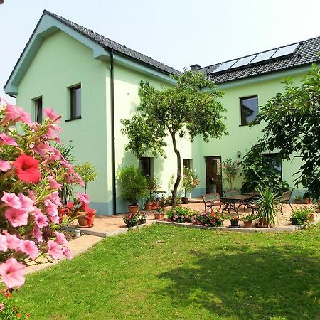Vila Evicka โซบอทกา ภายนอก รูปภาพ