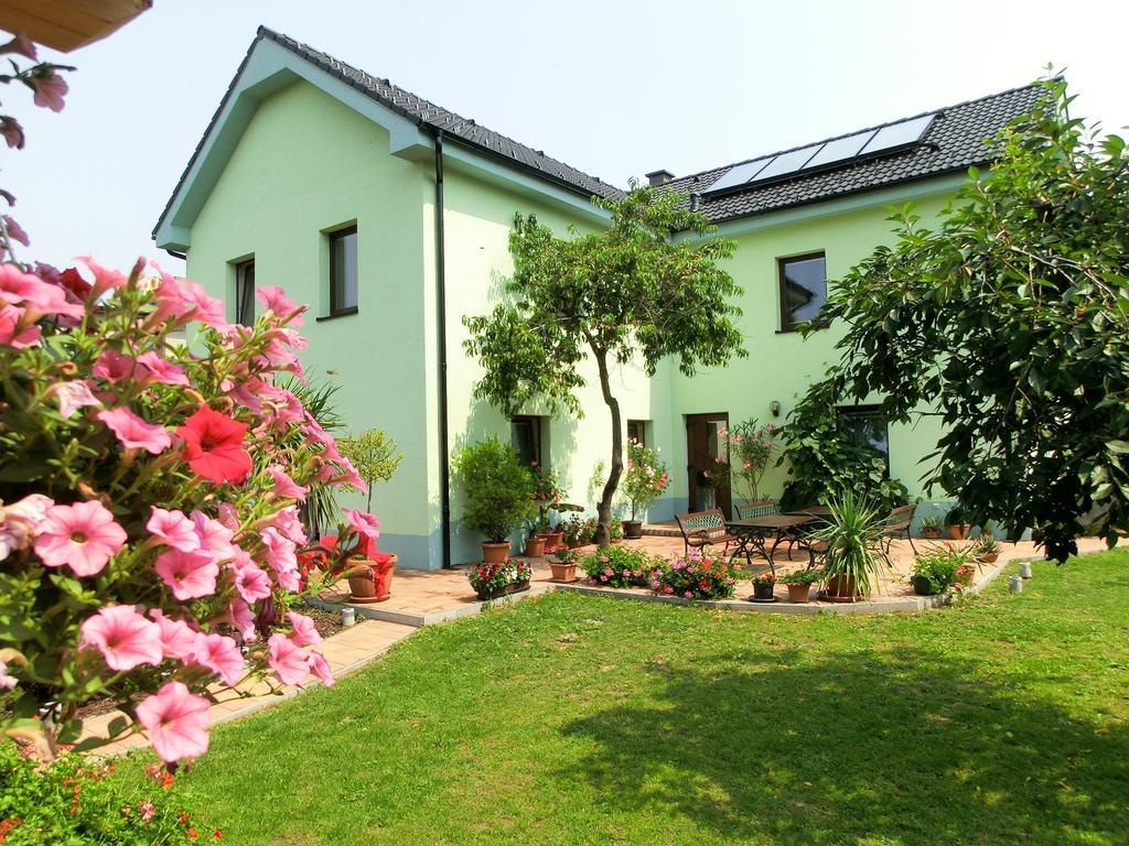 Vila Evicka โซบอทกา ภายนอก รูปภาพ
